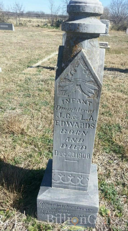 BillionGraves, baby, infant, gravestone, lamb, grave, cemetery, GPS, mobile app, mobile phone, GPS cemetery data, grave, gravestone, ancestors, genealogy, family history, crown, palm trees, palm fronds