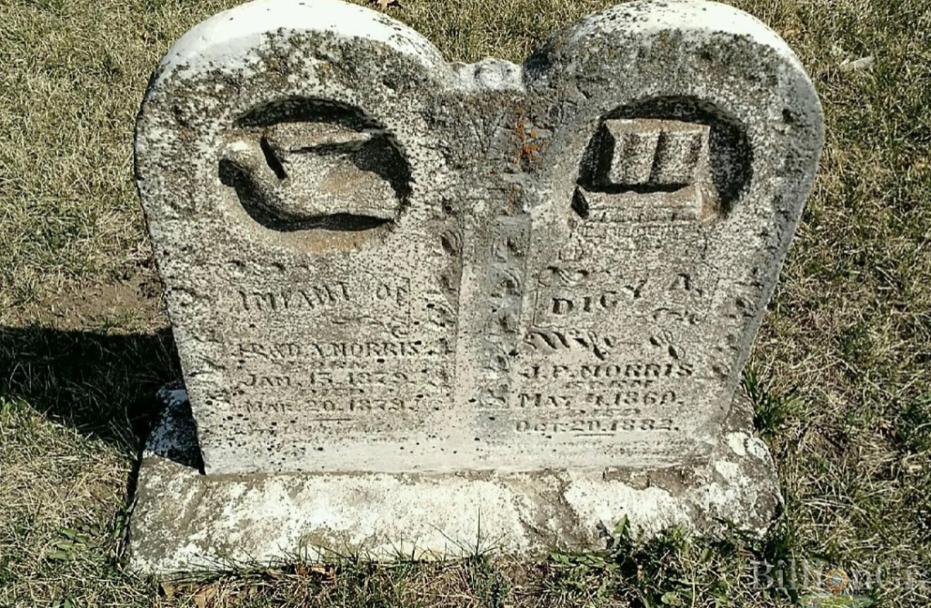 dove, bird, books, teacher, education, BillionGraves, baby, infant, gravestone, lamb, grave, cemetery, GPS, mobile app, mobile phone, GPS cemetery data, grave, gravestone, ancestors, genealogy, family history