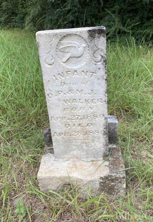 bird, BillionGraves, baby, infant, gravestone, lamb, grave, cemetery, GPS, mobile app, mobile phone, GPS cemetery data, grave, gravestone, ancestors, genealogy, family history, bird, dove, fly