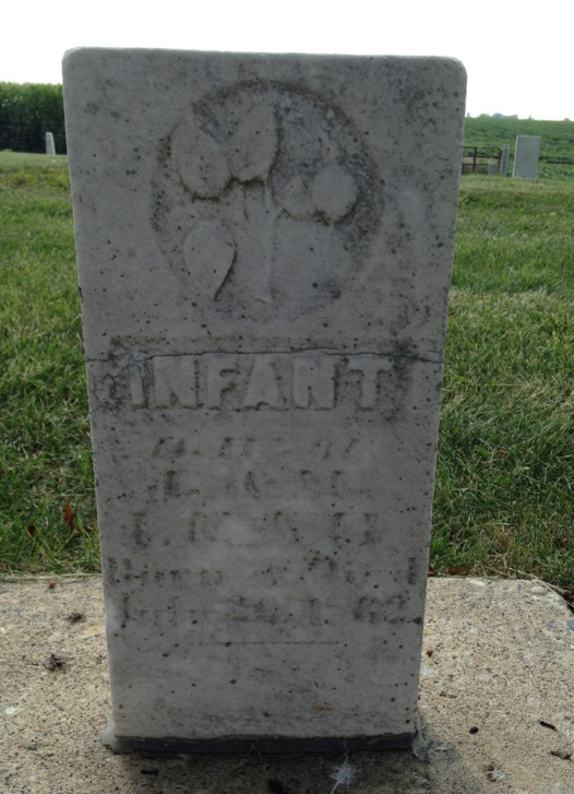 BillionGraves, baby, infant, gravestone, lamb, grave, cemetery, GPS, mobile app, mobile phone, GPS cemetery data, grave, gravestone, ancestors, genealogy, family history, tree bud, tree, bud, leaf