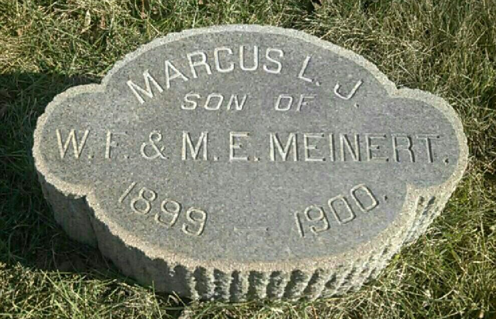 BillionGraves, Woodmen of the World, Treestones, tree gravestones, grave, gravestones, cemetery, family history, genealogy, ancestors, Woodmen of America, BillionGraves app, volunteer, stump, baby, infant