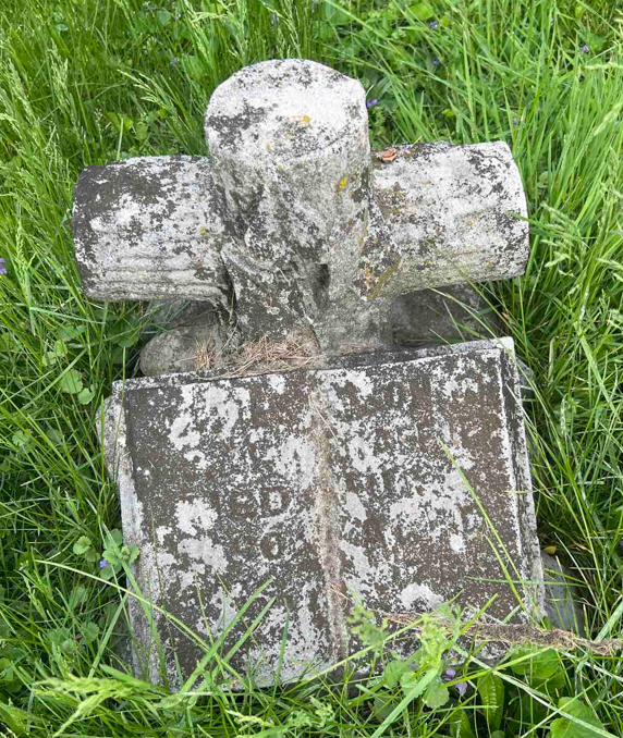 cross, Bible, BillionGraves, Woodmen of the World, Treestones, tree gravestones, grave, gravestones, cemetery, family history, genealogy, ancestors, Woodmen of America, BillionGraves app, volunteer