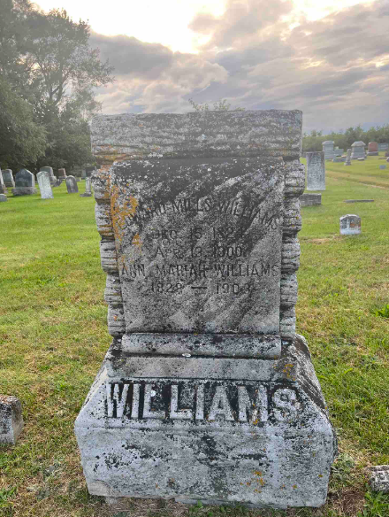 insurance, logs, BillionGraves, Woodmen of the World, Treestones, tree gravestones, grave, gravestones, cemetery, family history, genealogy, ancestors, Woodmen of America, BillionGraves app, volunteer