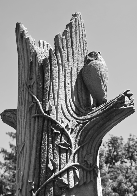 owl, BillionGraves, Woodmen of the World, Treestones, tree gravestones, grave, gravestones, cemetery, family history, genealogy, ancestors, Woodmen of America, BillionGraves app, volunteer, ivy
