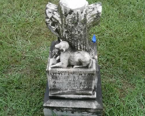 BillionGraves, Woodmen of the World, Treestones, tree gravestones, grave, gravestones, cemetery, family history, genealogy, ancestors, Woodmen of America, BillionGraves app, volunteer, lamb, gravestone symbols