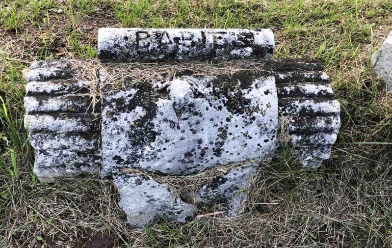 infant mortality, baby, death, BillionGraves, Woodmen of the World, Treestones, tree gravestones, grave, gravestones, cemetery, family history, genealogy, ancestors, Woodmen of America, BillionGraves app, volunteer