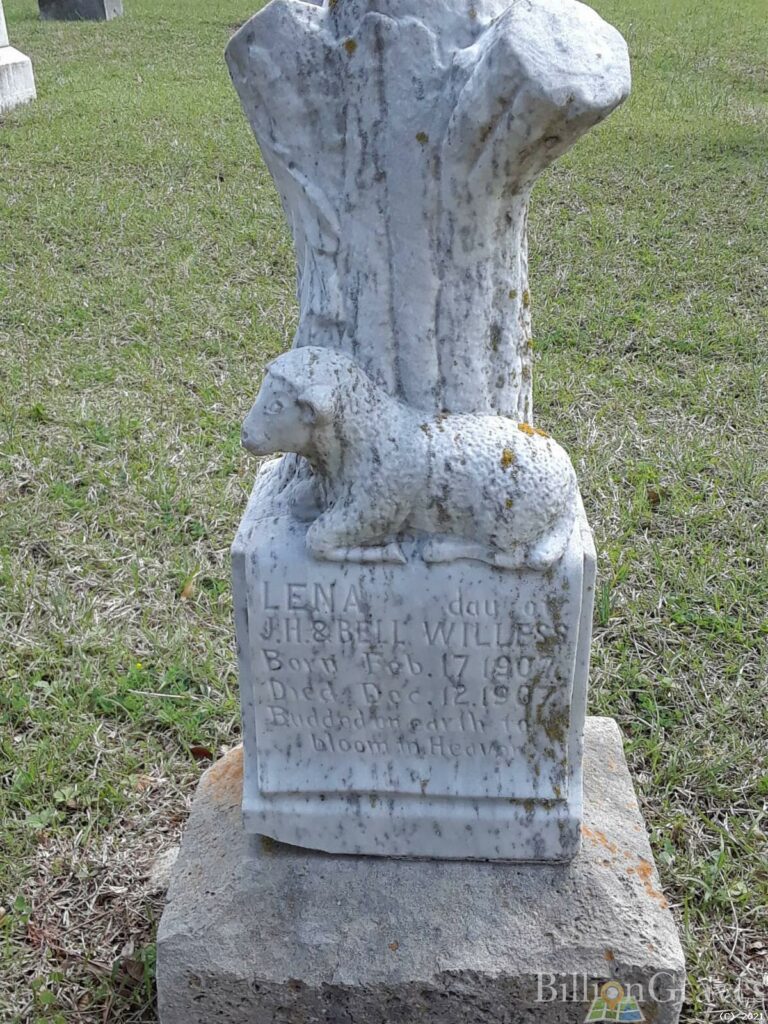 Grave site information of Lena Willess (17 Feb 1907 - 12 Dec 1907) at Parker Cemetery in Rockwall, Rockwall, Texas, United States from BillionGraves; treestone, lamb