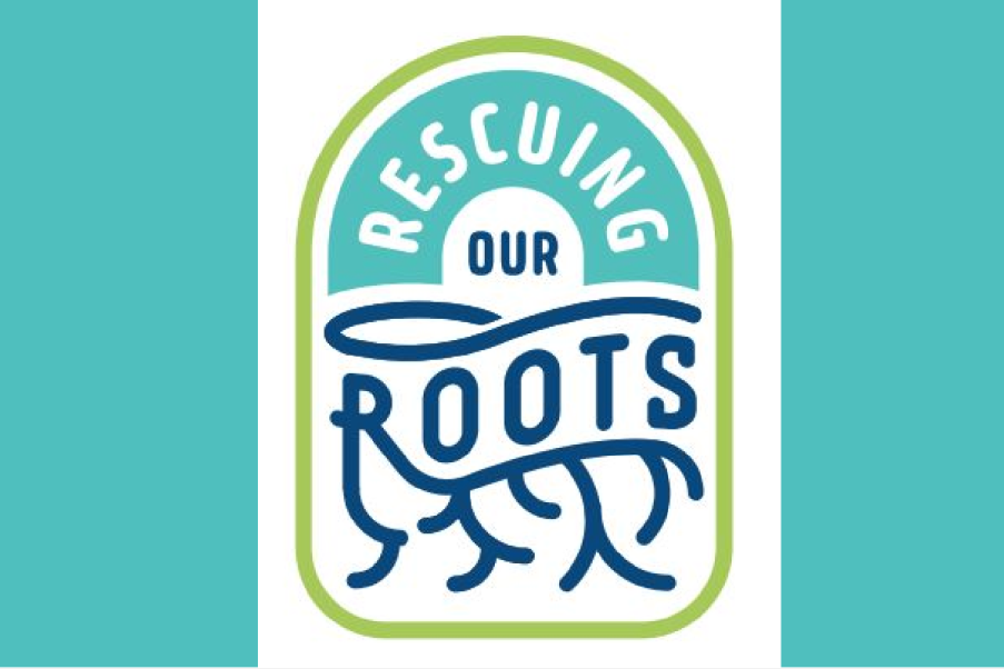 BillionGraves, Rescuing Our Roots, gravestones, cemetery, headstones, app, mobile app, Guinness World Records attempt, largest BillionGraves project in history, BG, logo