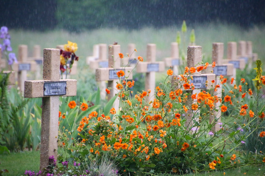 BillionGraves, AI, transcriptions, BG, GPS, photos, cemetery, genealogy, family history, artificial intelligence, machine learning, trancribe, ancestors, cross