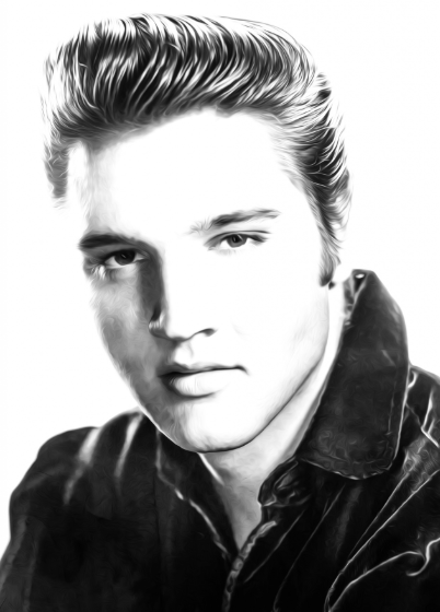 BillionGraves, GPS, mobile app, cemetery, gravestones, ancestors, family history, genealogy, graves, famous graves, BG, Elvis Presley, Elvis, Presley, the king