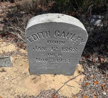 cauley, 10 Steps; group cemetery event, cemetery event, BillionGraves, BG, GPS, mobile app, volunteer, community service, cemetery, graves, graveyard, family history, genealogy, BillionGraves