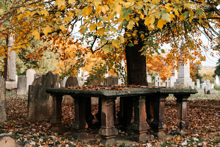 billiongraves, family history, gps, american revolution, USA250, cemetery, gravestones, 1776, autumn, color tour, fall foliage, congressional cemetery