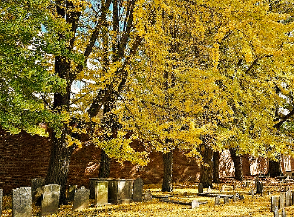 Christ Church Burial Ground, BillionGraves, cemetery, genealogy, ancestors, family history, GPS, app, American Revolution, USA250, Founding Fathers, 1776, 250, Philadelphia, benjamin franklin