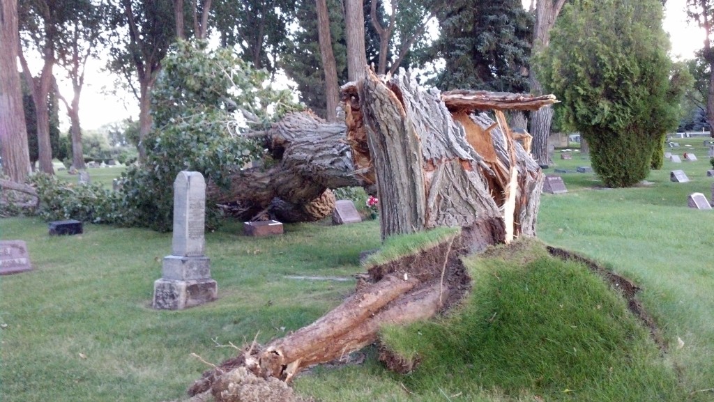 Storm in Cedar Cemetery