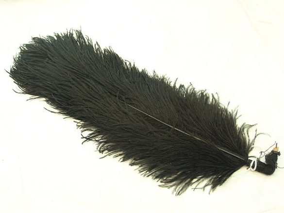 Ostrich Feather Funerals of the Victorian Era - BillionGraves Blog